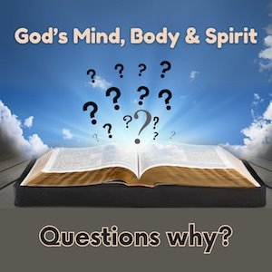 Questions Why?